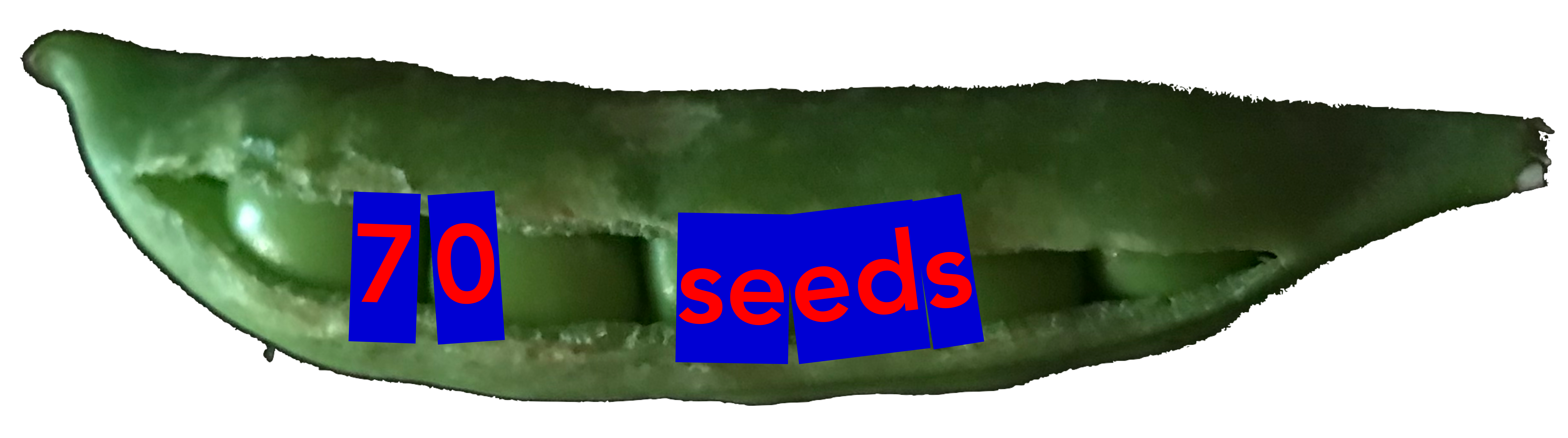 70 Seeds